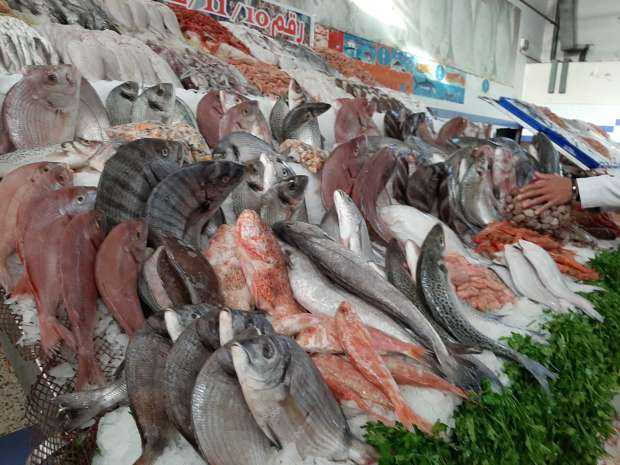استقرار أسعار الأسماك في سوق العبور27 ديسمبر