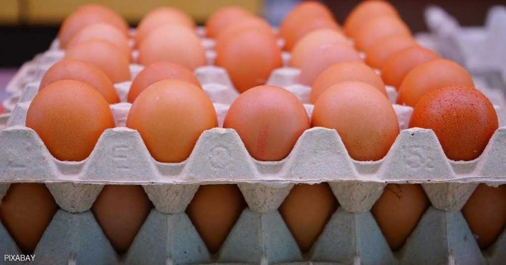 أسعار البيض اليوم الجمعة