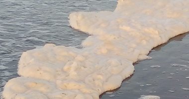 البيئة: زبد البحر في بورسعيد يختفى مع حركة المد والجزر