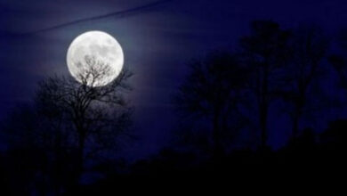 في ظاهرة مشاهدة بالعين المجردة.. غدًا القمر يقترن بـ"قلب العقرب"
